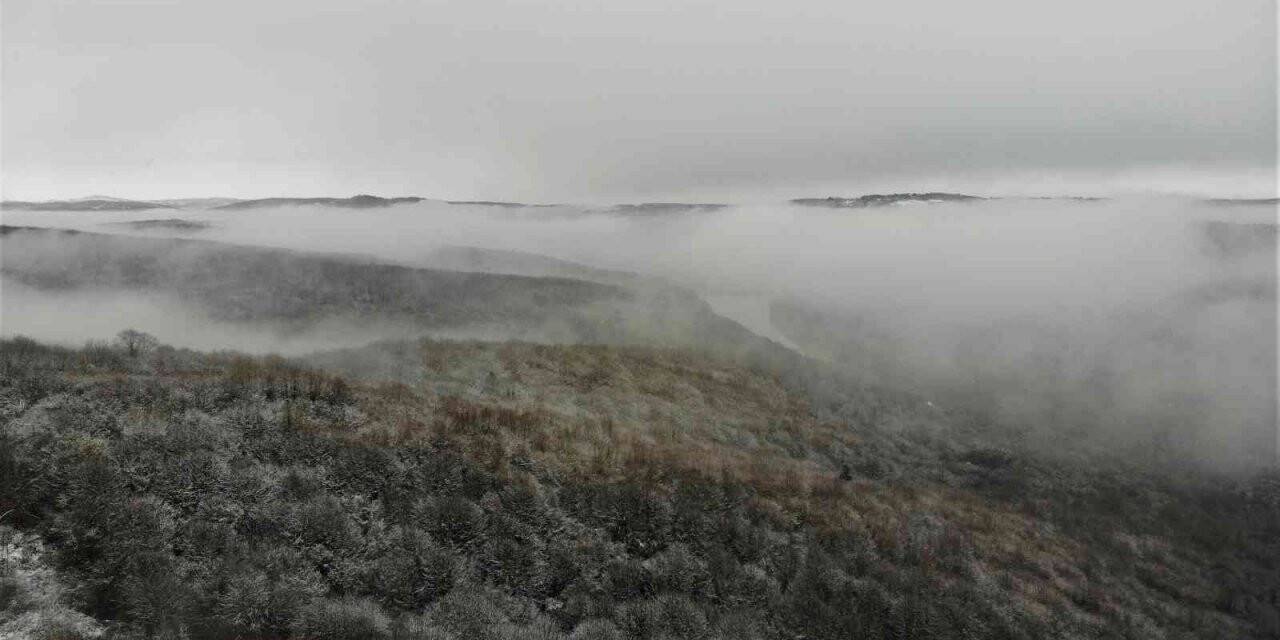 Şile ormanları kara ve sise büründü