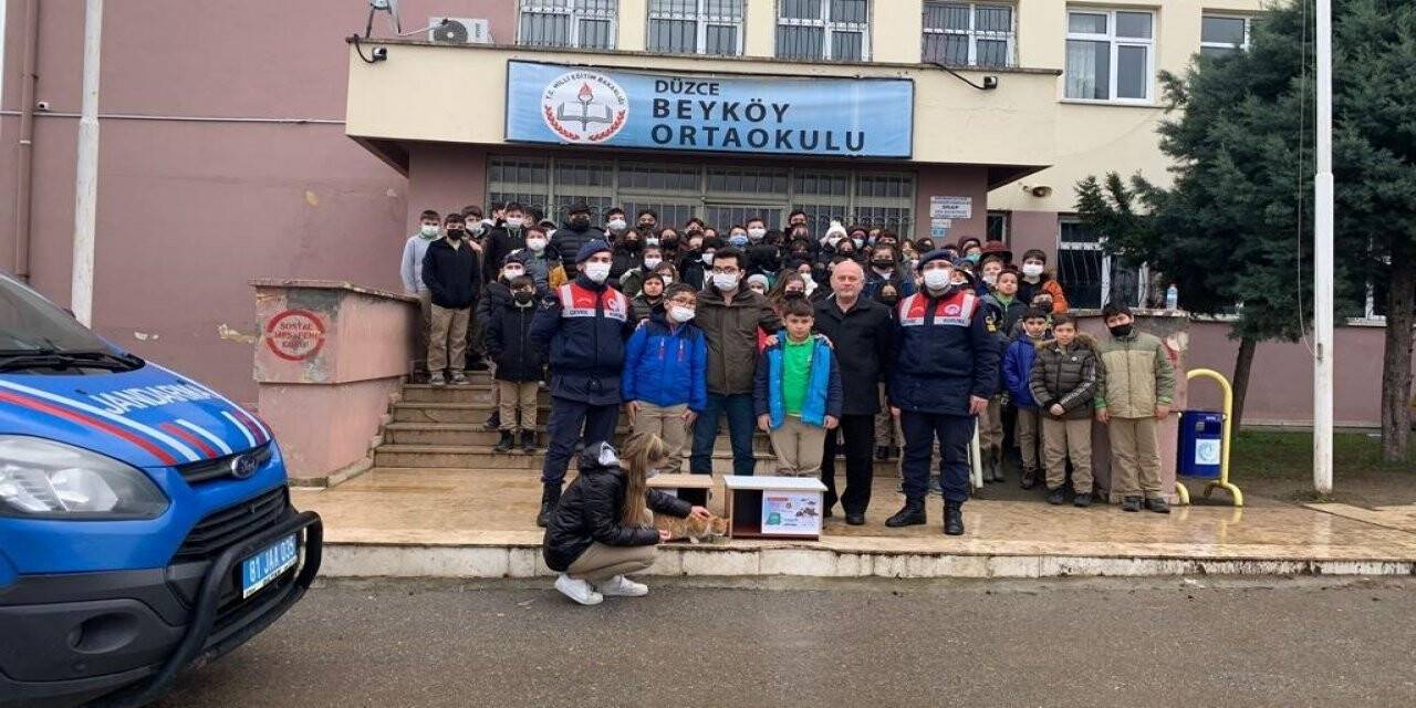 Jandarma ekipleri ve öğrenciler sokak hayvanları için seferber oldu