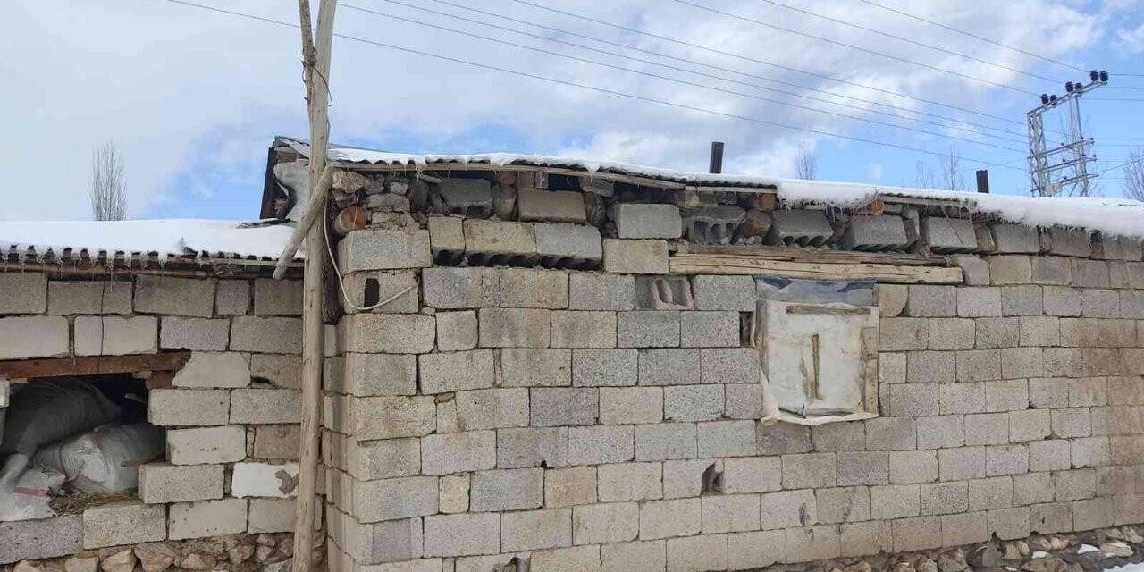 Çöken ahırdaki hayvanlar kurtarıldı