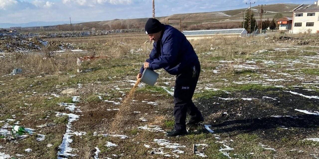 Sungurlu’da sokak hayvanları unutulmadı
