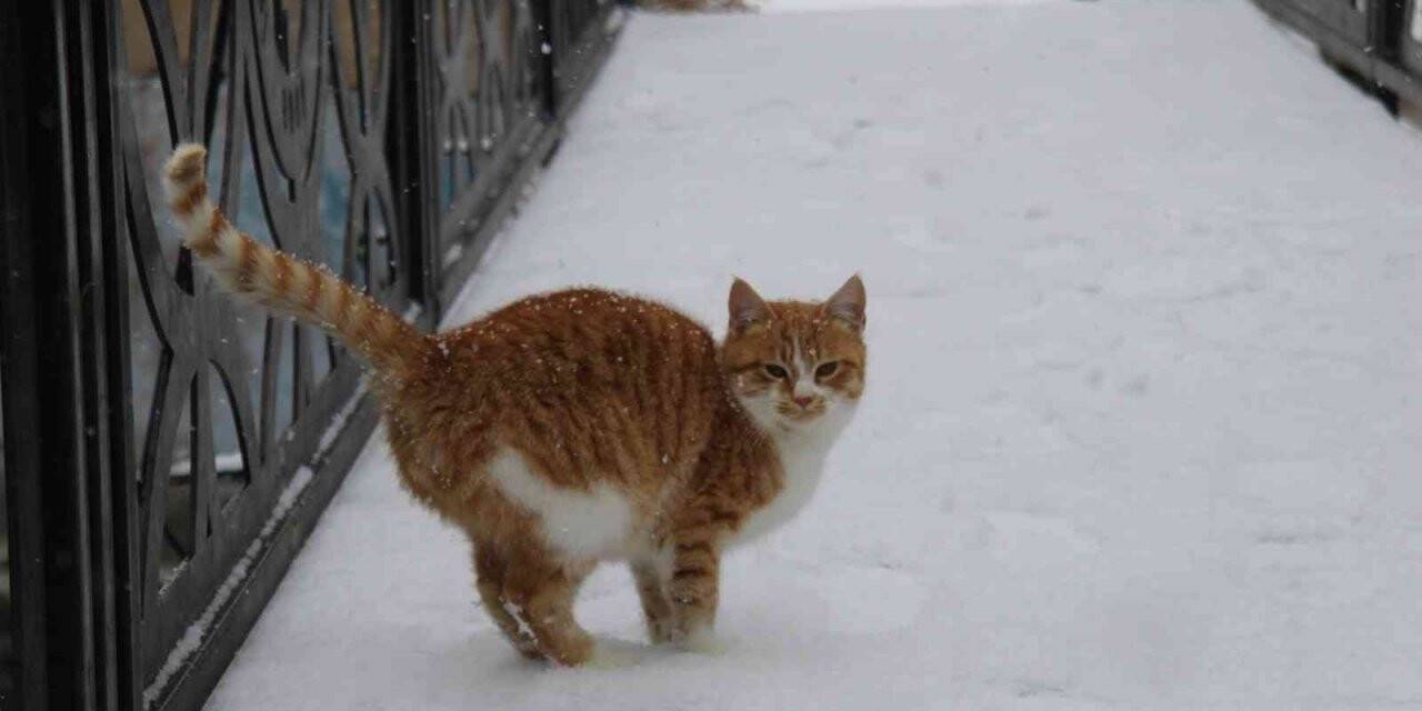 Kar yağışı Bünyan’da kartpostallık görüntüler oluşturdu