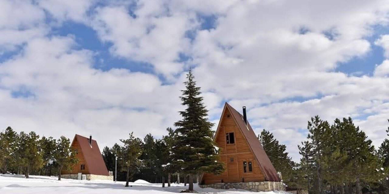 Yalnız Ardıç Mesire Alanında kartpostallık görüntüler oluştu