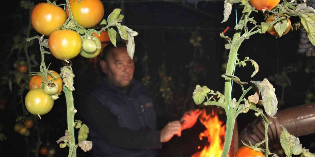 Mersin’de seralarda sobalar yakıldı, zirai don nöbeti başladı