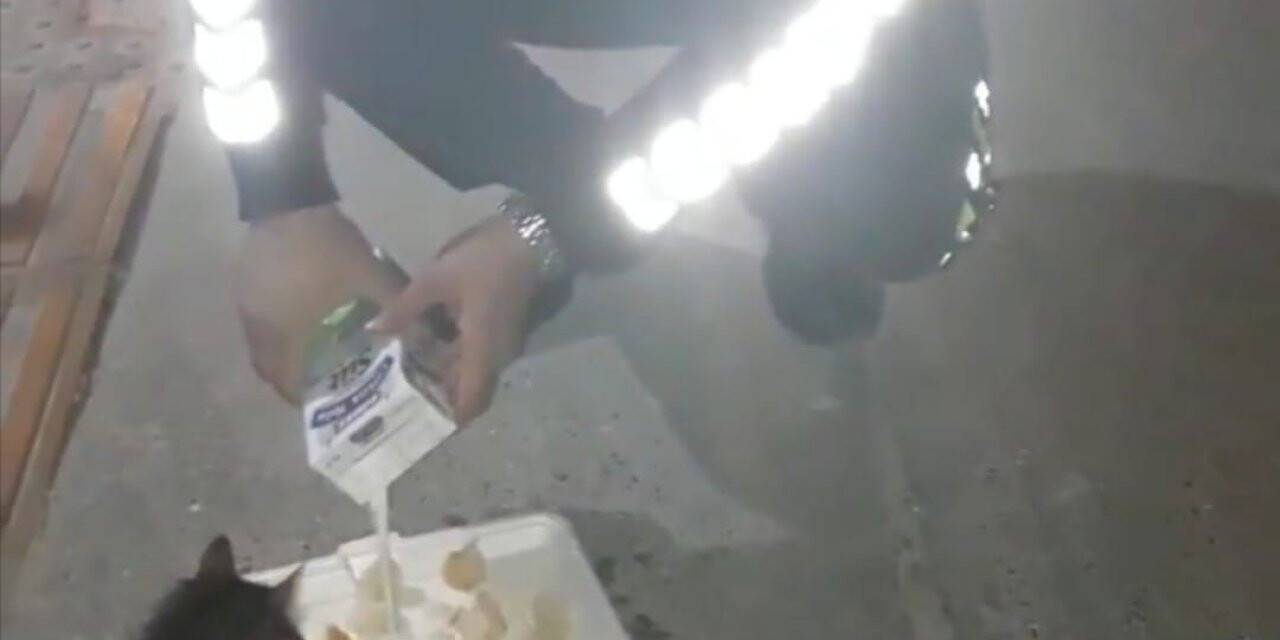 Trafik polisi sahipsiz hayvanları kendi elleriyle besliyor