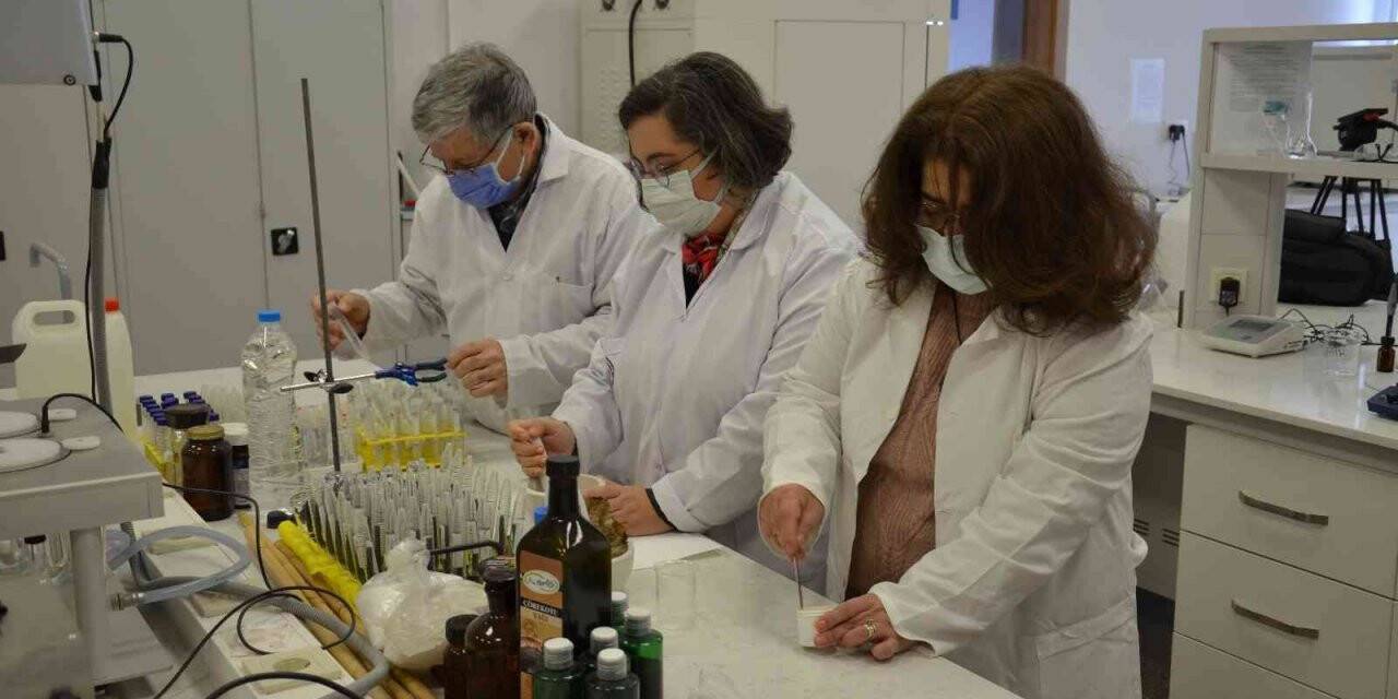 Kanamaları erken durduran formül bulundu