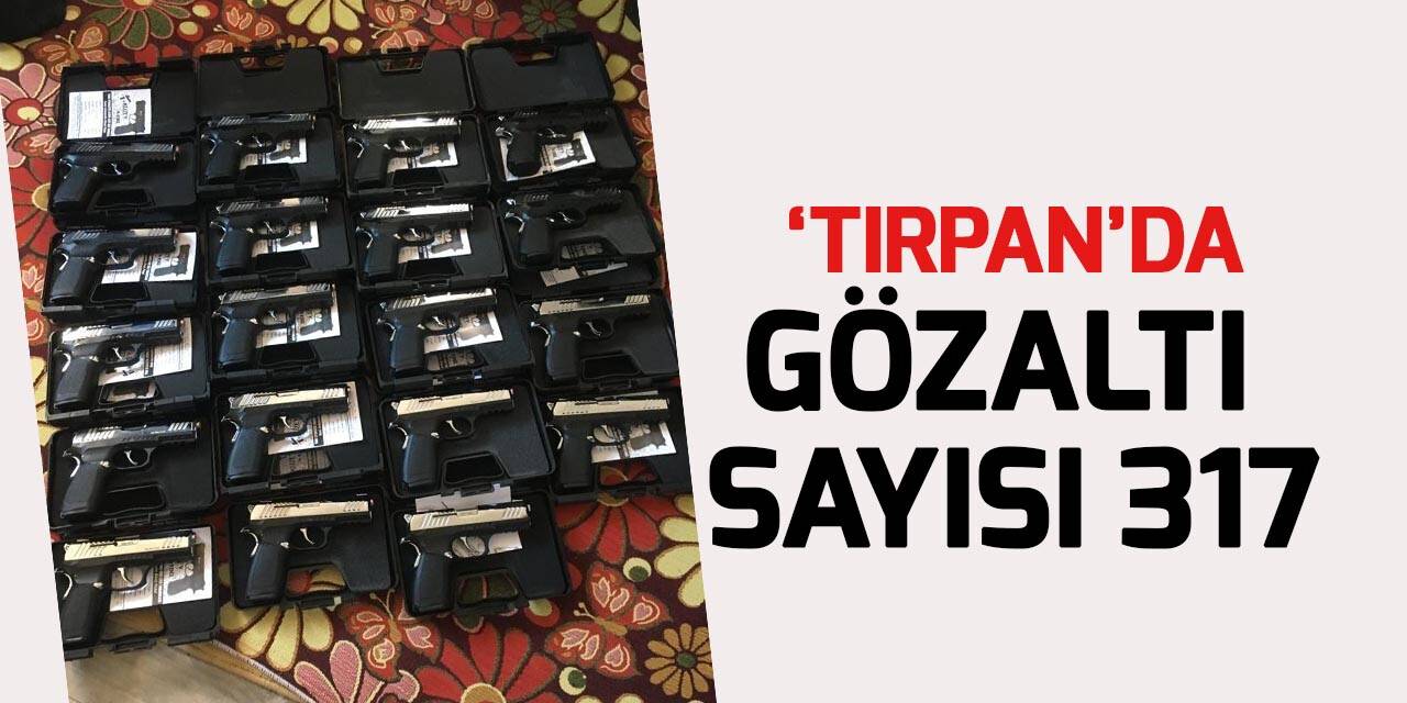 'Tırpan' operasyonunda 317 gözaltı