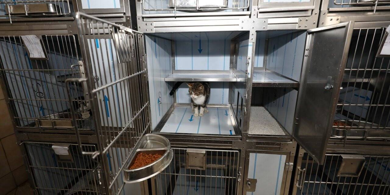 Gaziemir’de kafesler artık daha konforlu