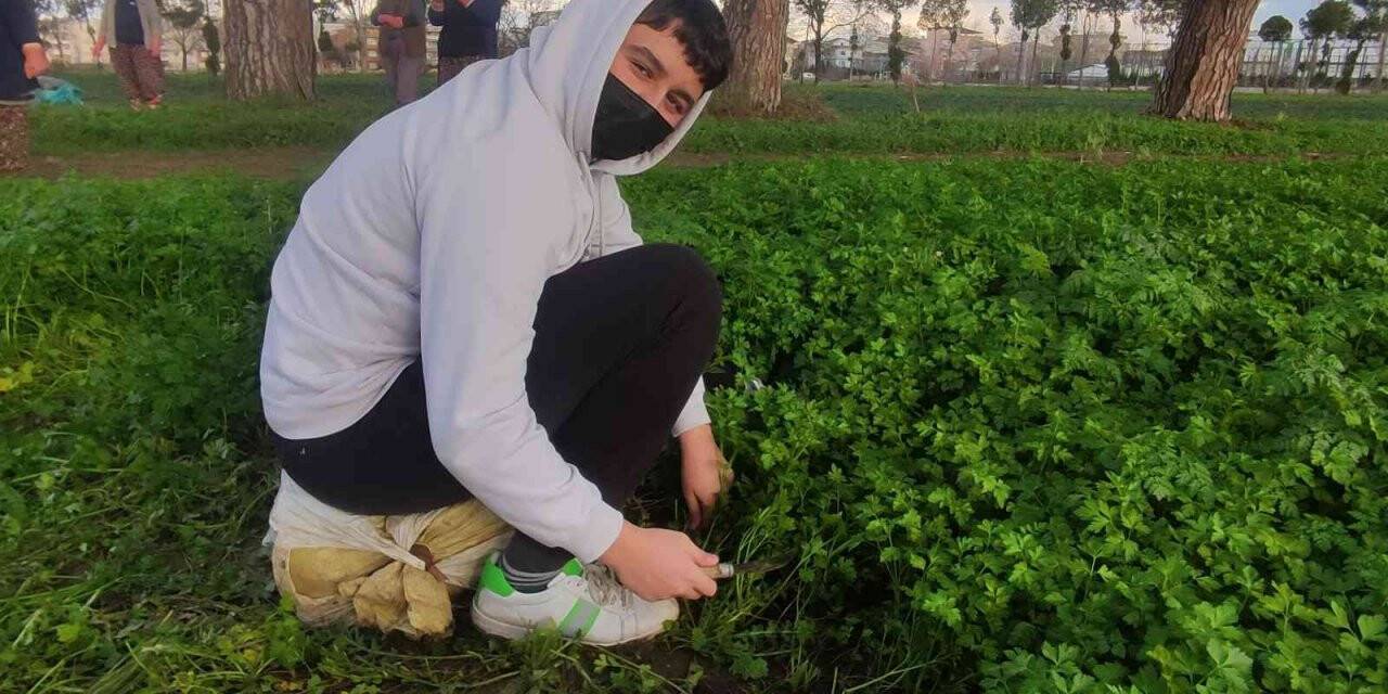 Derslerini tarlada yapıp üstüne para kazanıyorlar