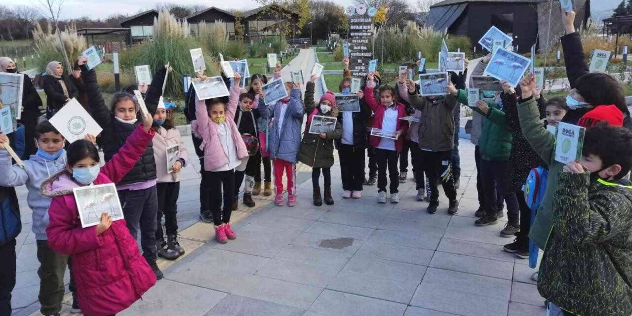 Öğrenciler, kuşları hayranlıkla izledi