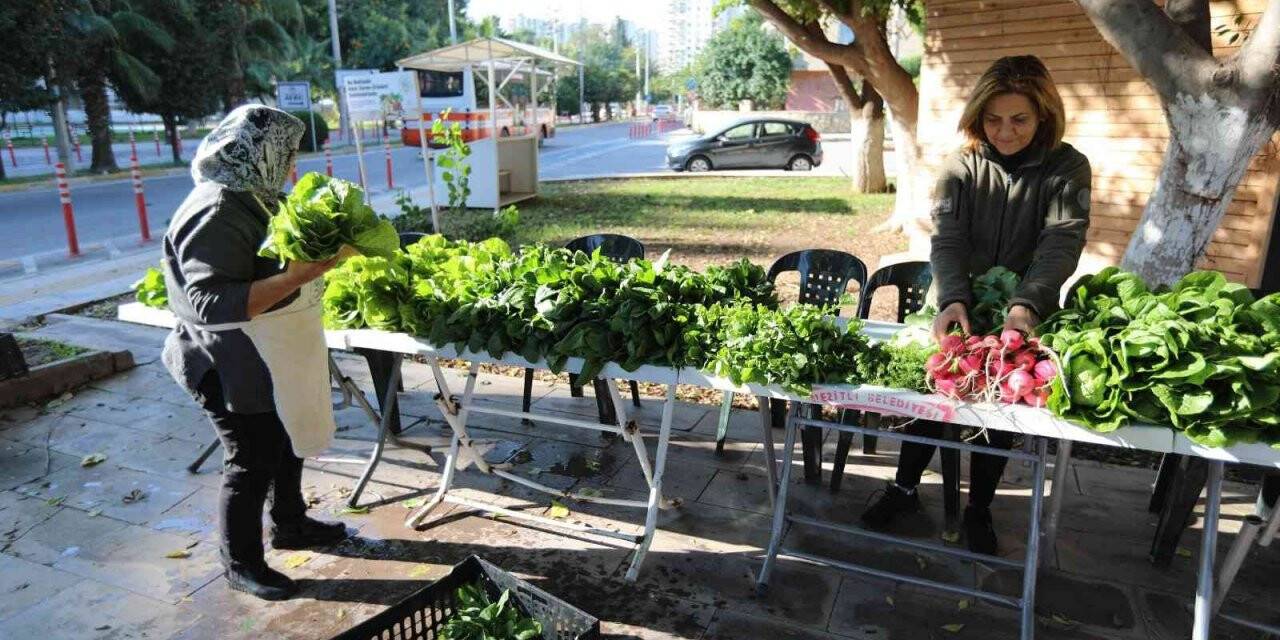 Profesör de iş insanı da doktor da pazarda sebze satıyor