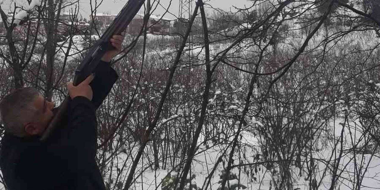 Köy muhtarı, tellere zarar veren dalları tüfekle tek atışla düşürdü