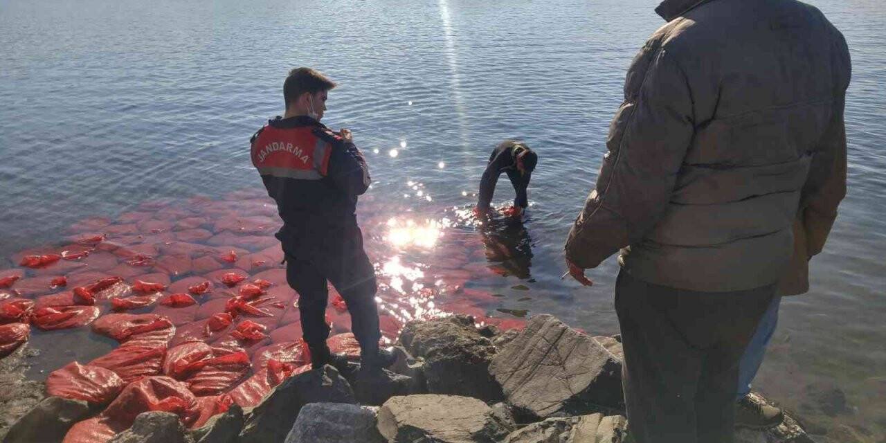 İzmir’de kaçak su ürünleri avcılığı yapan kişi suçüstü yakalandı