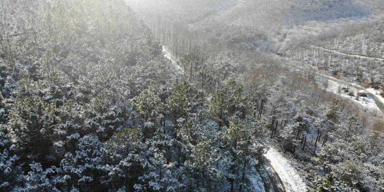Kar sonrası, Kemerburgaz Ormanları’nda masalsı görüntüler