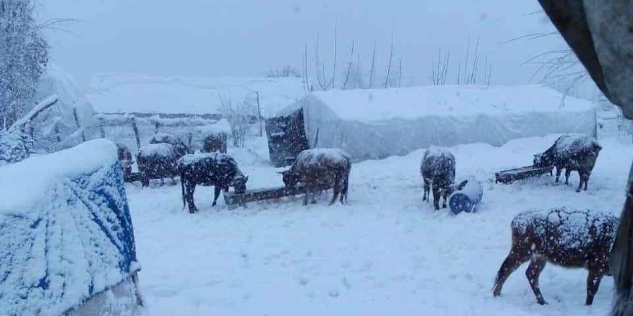 Batman’da kardan kapanan köy yollarının açılması için çalışmalar devam ediyor