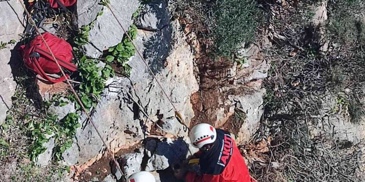 Marmaris AKUT’tan keçi kurtarma operasyonu