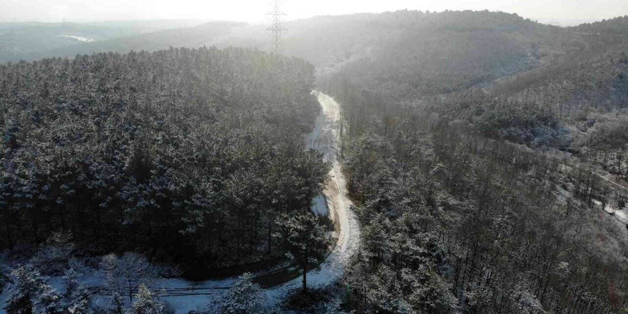 Beyaza bürünen orman havadan görüntülendi