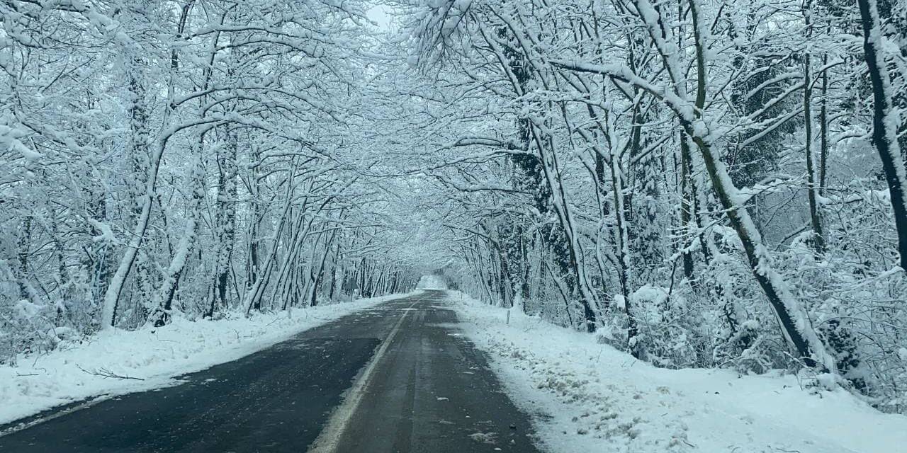 Ağaç tüneller kar güzelliği ile mest ediyor