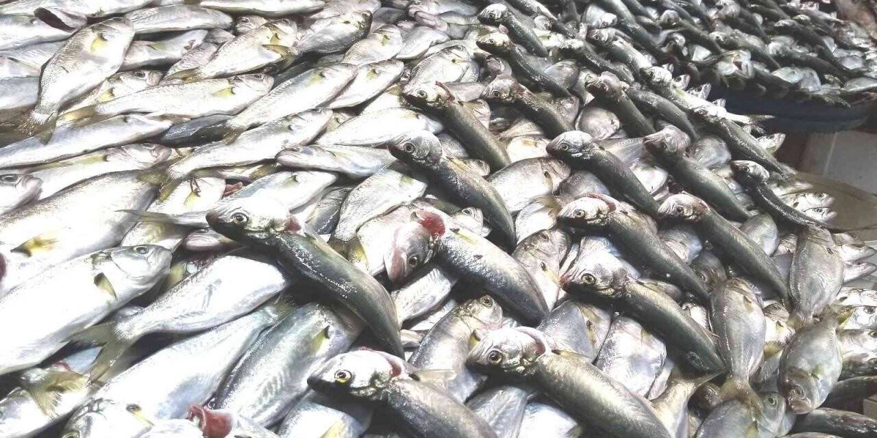 Kar çinekop getirdi