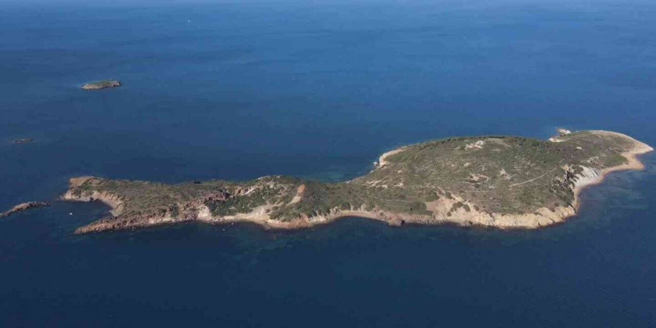 Ayvalık’ta Kara Ada’nın kesin koruma alanı ilan edilmesi sevinci