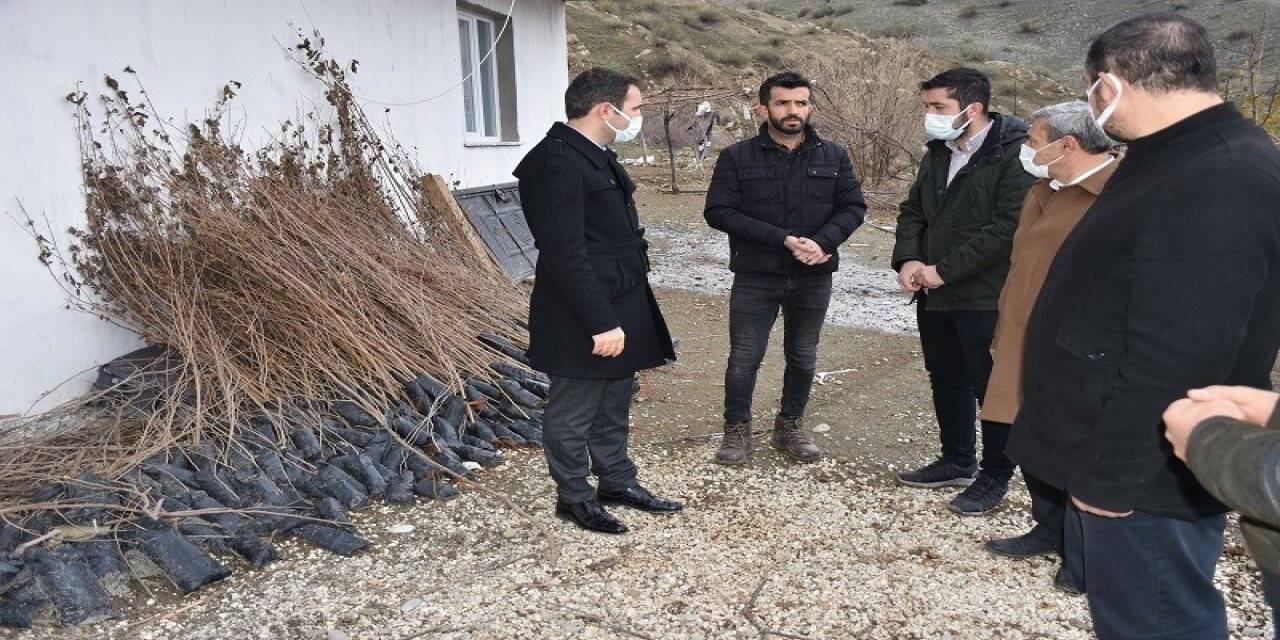 Batman’da ipek böceği yetiştiricilerine dut fidanı desteği verildi