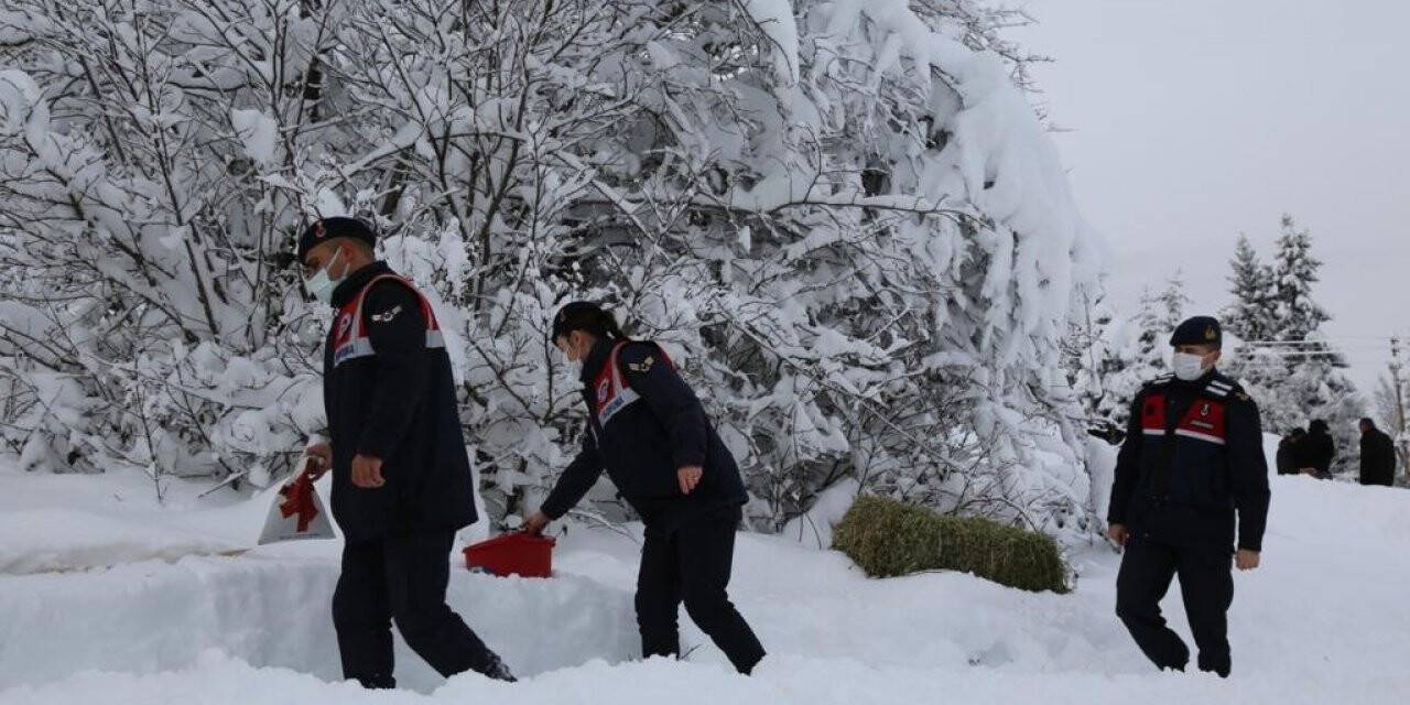 Artvin’de yaban hayatı için doğaya yem bırakıldı