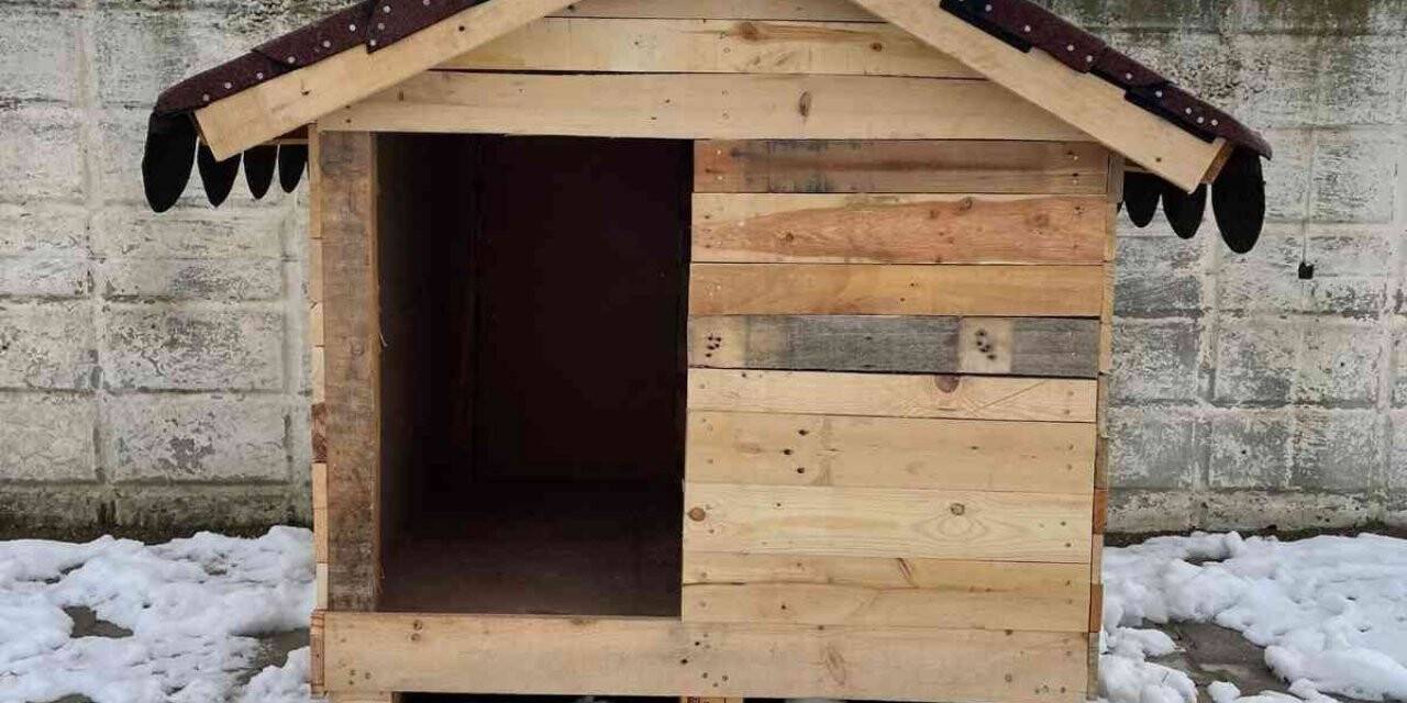 Sokak hayvanları ‘Bizim Sokağın Çocukları’ projesiyle güvende olacak