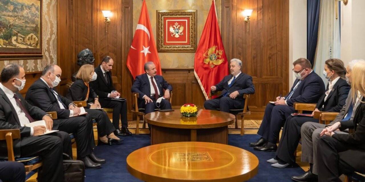 TBMM Başkanı Şentop, Karadağ Başbakanı Krivokapic ile görüştü