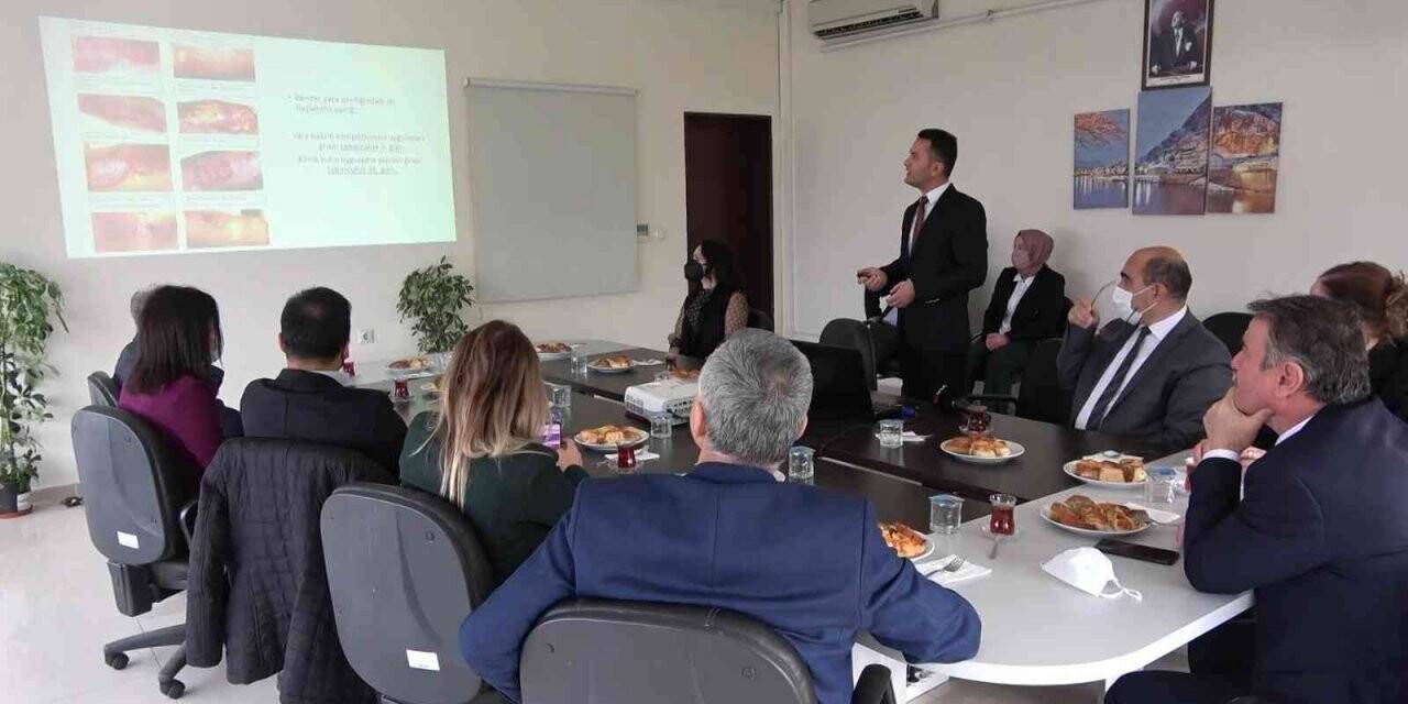 Yanık tedavisinde umut olacak çalışmaya Avrupa’dan patent