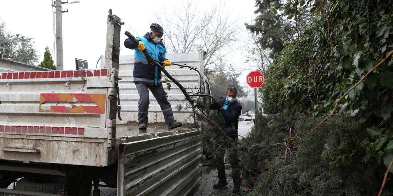 Bursa’da budanan ağaçların atıkları toprağa geri dönüyor