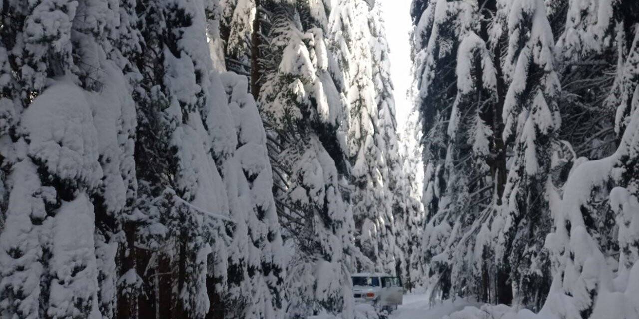 Gördükleri manzara karşısında şaşıp kaldılar