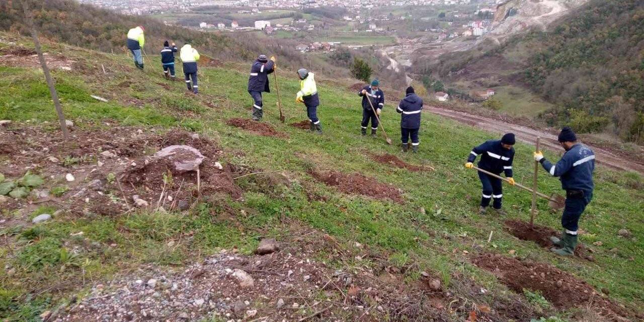 Büyükşehirden Gölcük Hisareyn’e bal ormanı