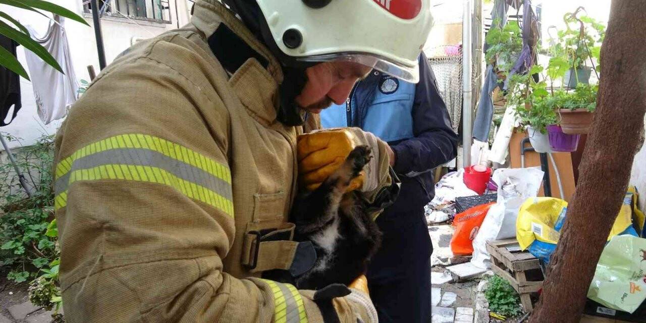 Kartal’da yanan evdeki köpek ve kediler son anda kurtarıldı