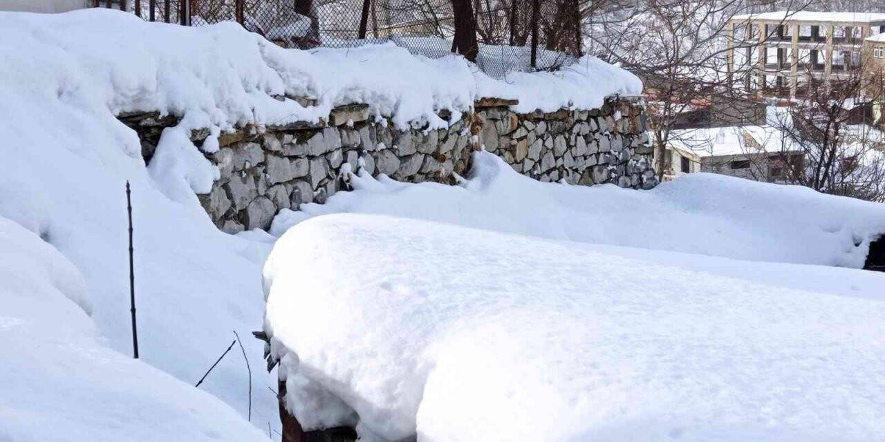 Hakkari’de 196 yerleşim yerinin yolu ulaşıma kapandı