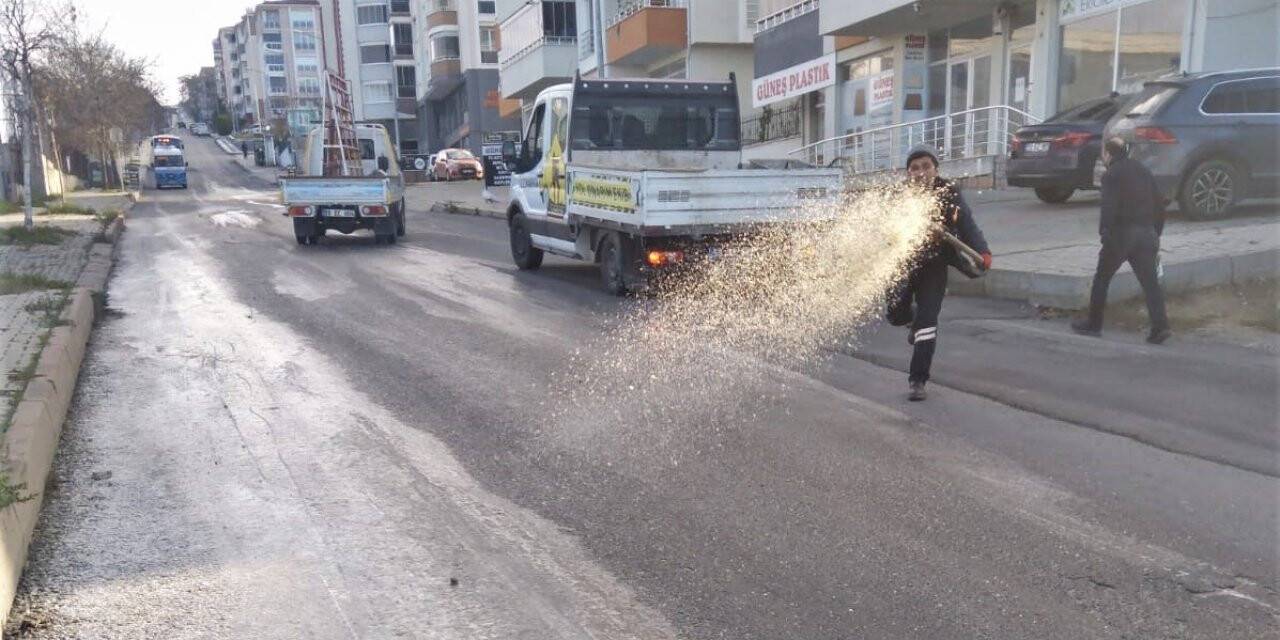 Buzlanmaya karşı tuzlu mücadele