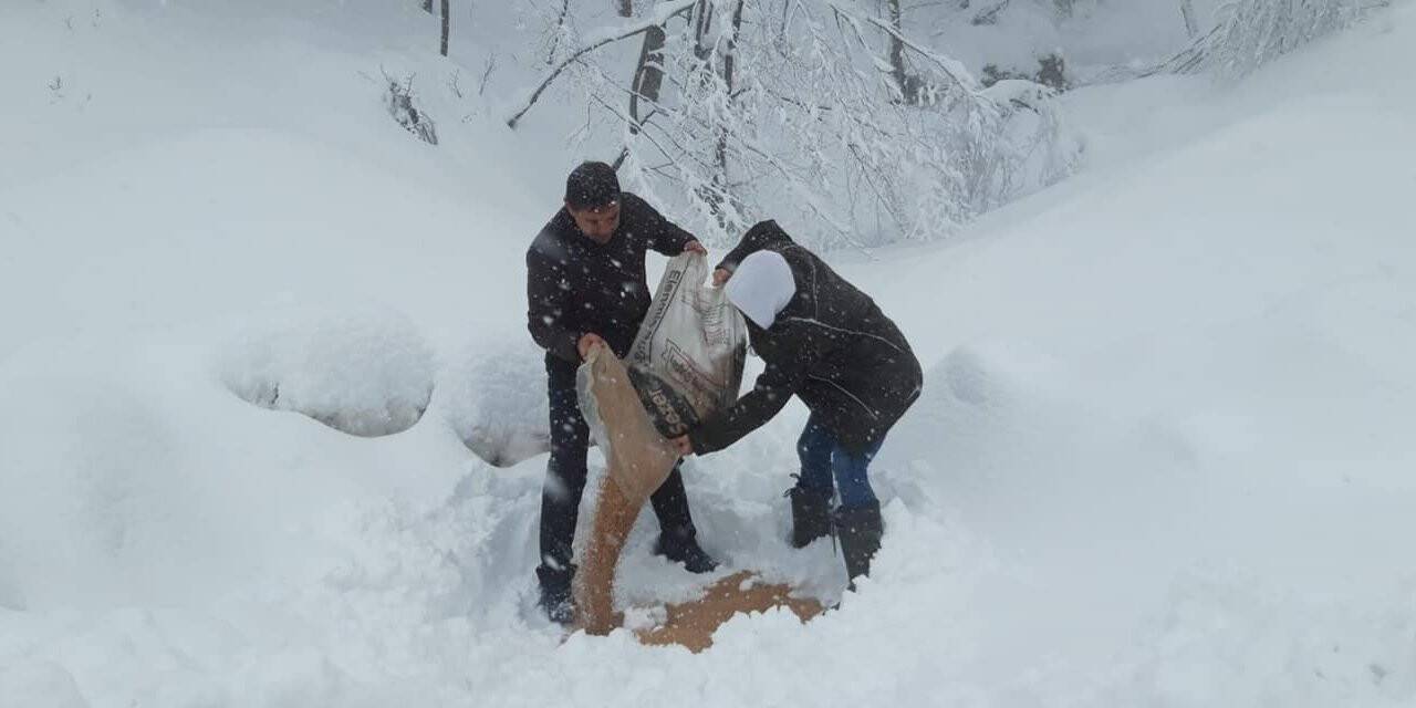 Yalova’da av ve yaban hayvanları için ormana yem bırakıldı