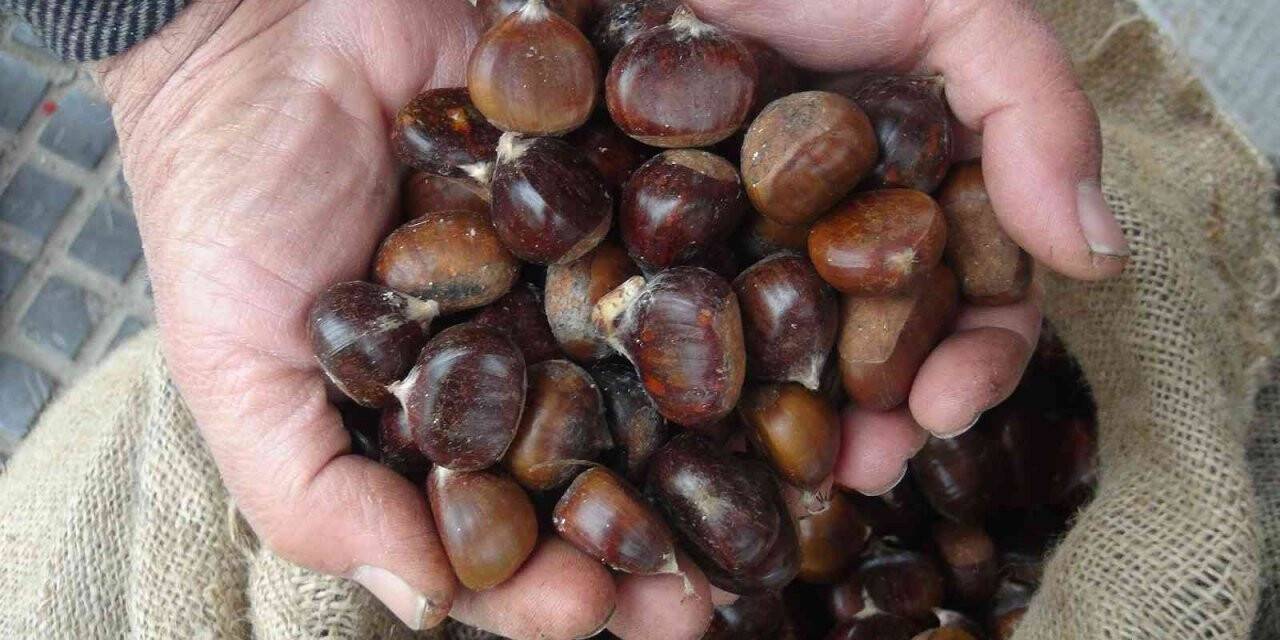 Tarihi Sur ilçesini kestane kokusu sardı, satıcıların yüzü güldü