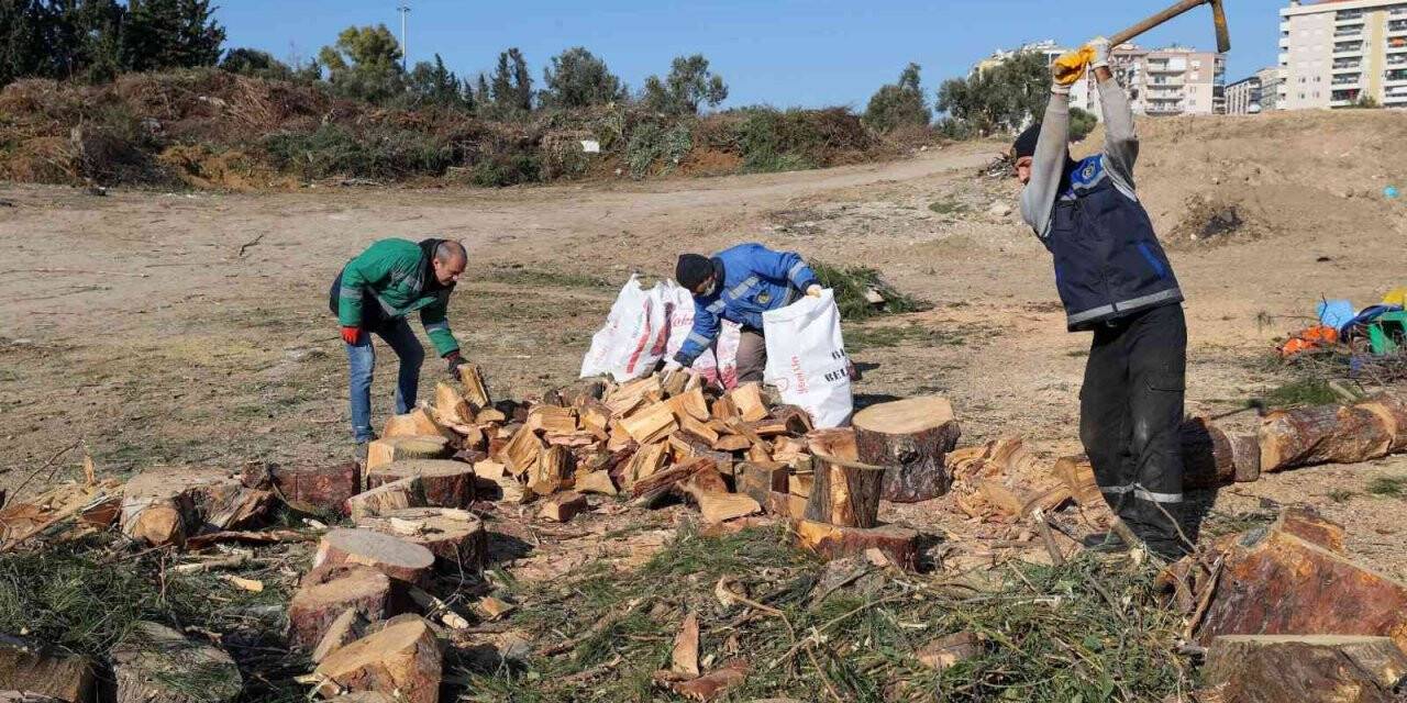 Buca’da budanan dallar ihtiyaç sahibi evleri ısıtıyor