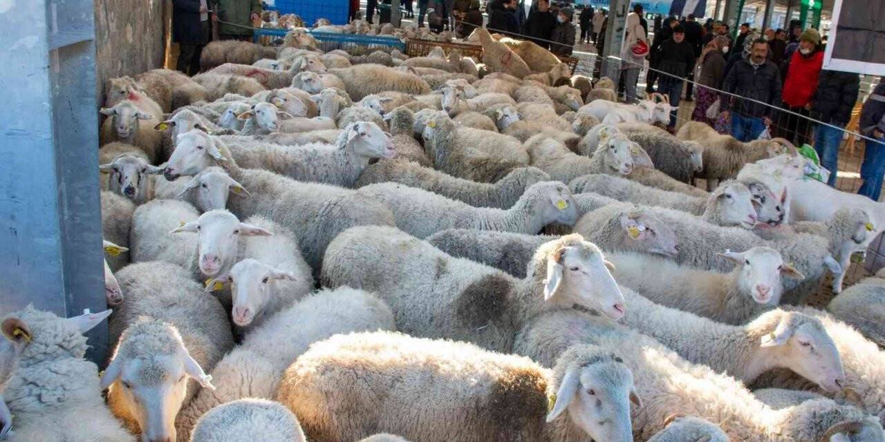 İzmir Büyükşehir Belediyesinden üreticiye destek