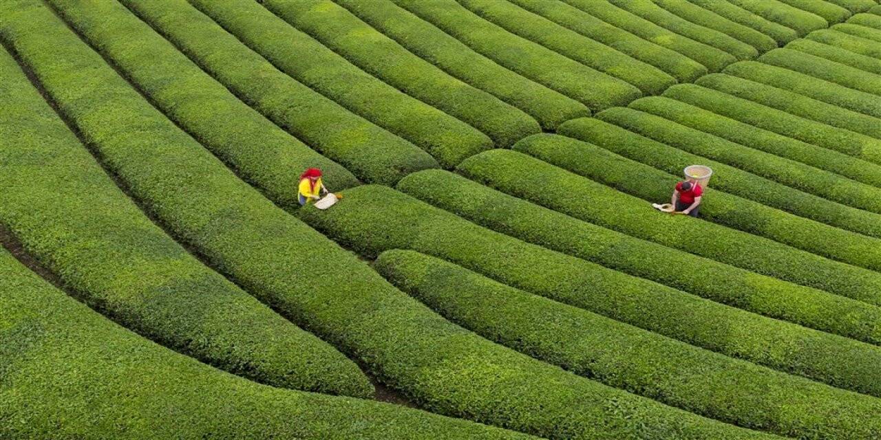 Fotono21 Fotoğraf Derneği Dünya Kupası Fotoğraf Yarışmasında