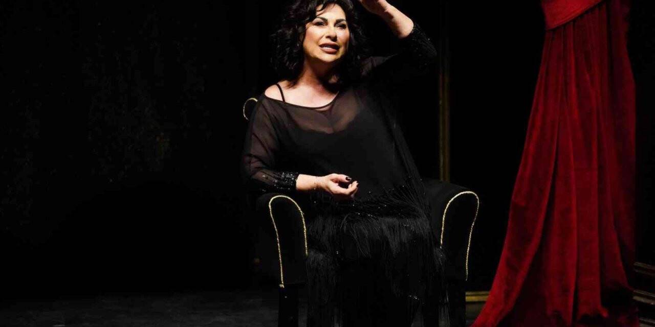 Tiyatro sanatçısı Nilgün Belgün, Bilecik’te hayatını anlattı