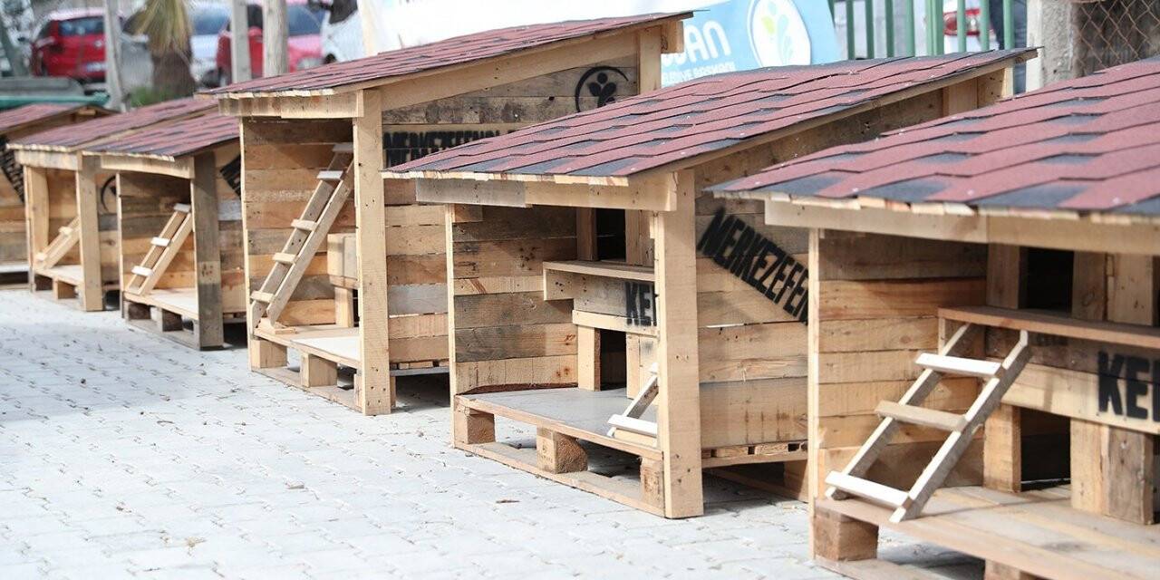 Pet Kafe ve Mama Üretim Tesisi Türkiye’ye örnek oldu