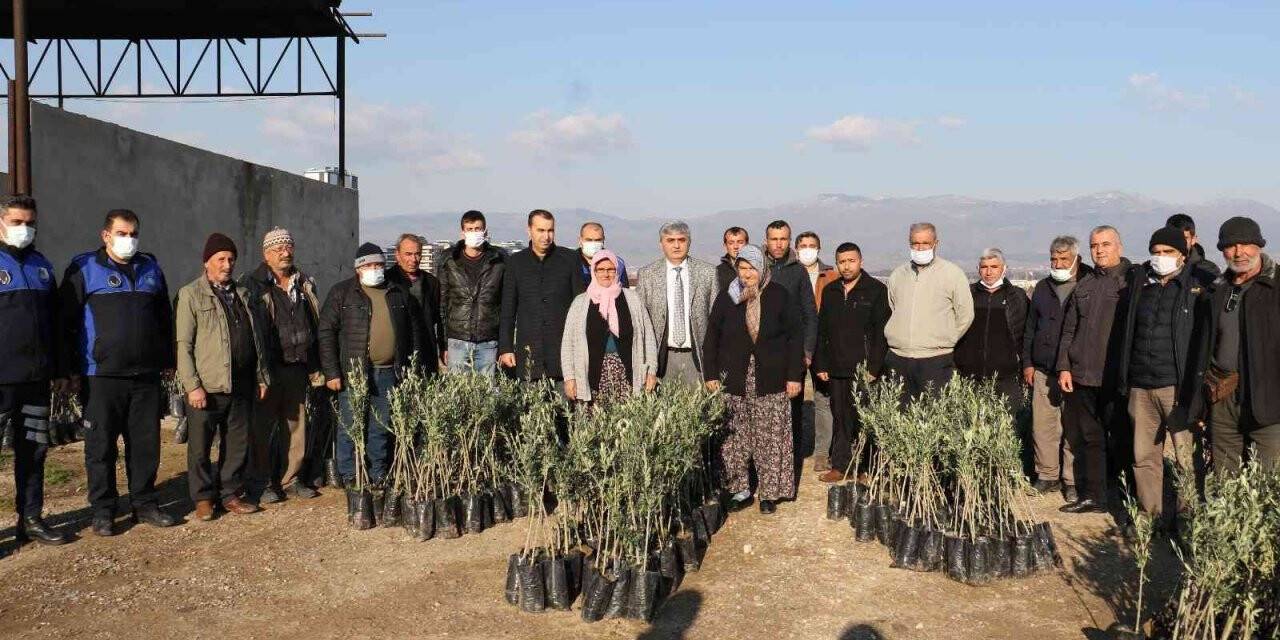 Manisa Büyükşehir Belediyesinden üreticilere 100 bin fidan desteği