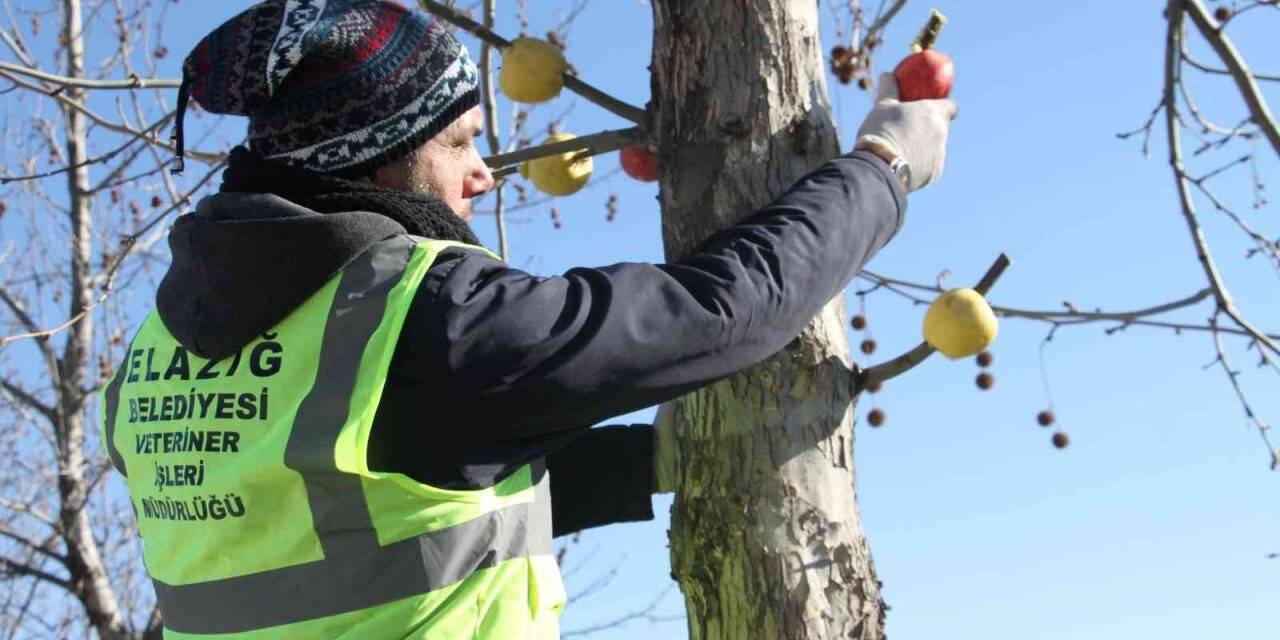 Cumhurbaşkanı Erdoğan işaret etti, Elazığ Belediyesi hemen yerine getirdi