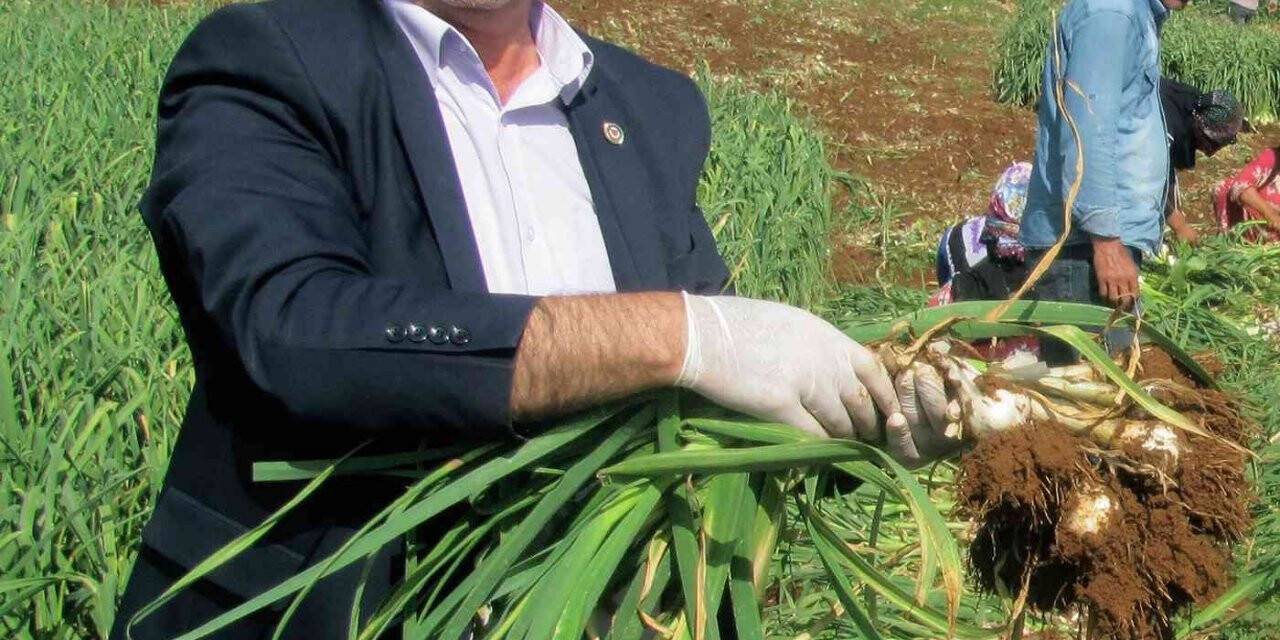 Arabanlı çiftçilere don uyarısı