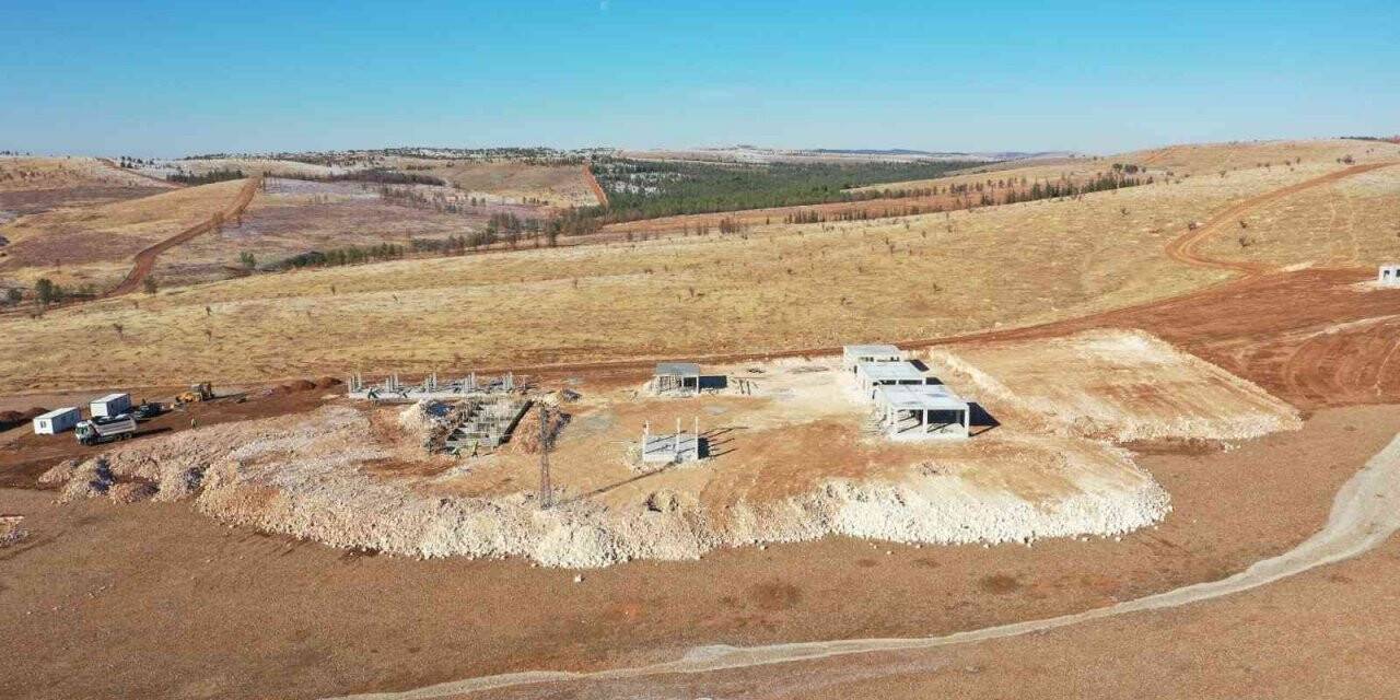 Şanlıurfa’da sokak hayvanları için rehabilitasyon merkezi kuruluyor