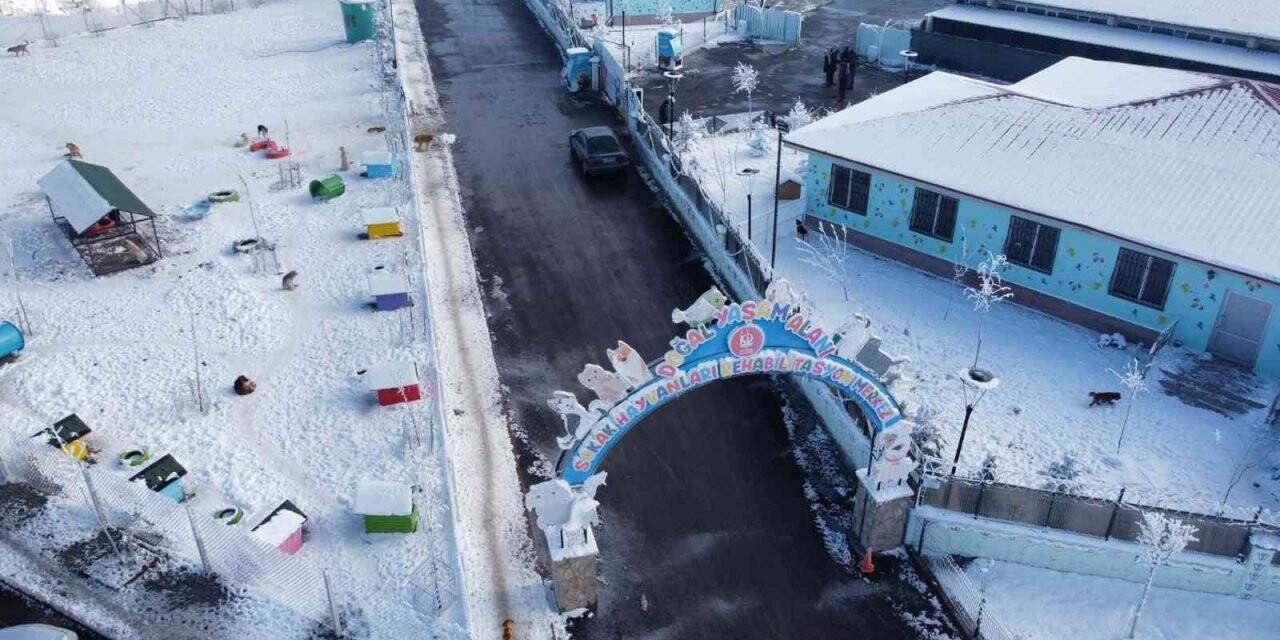 Keçiören, modern rehabilitasyon merkeziyle canlılara yuva oluyor