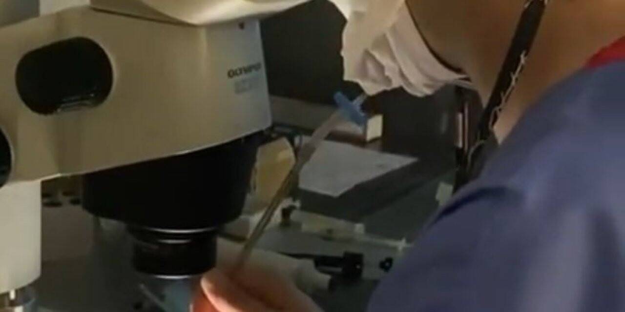 Çevre kirliliği ve şekerli içeceklerin üremeyi de olumsuz etkilediği belirlendi