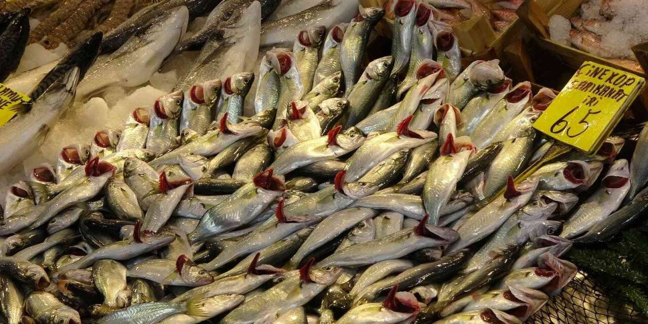 Kar yağdı, fiyatı 65 liraya geriledi