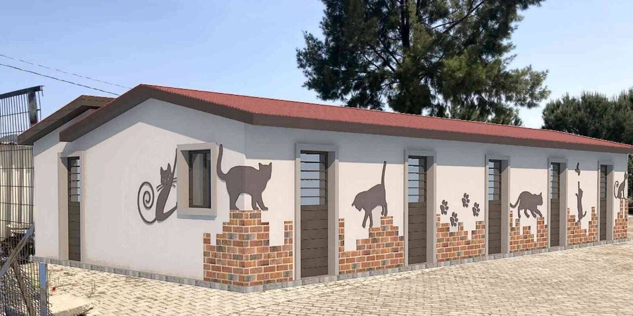Kuşadası’nda hasta kedilere özel tedavi ünitesi