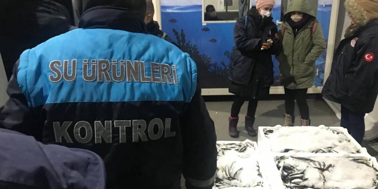 Boy yasağına aykırı avlanan 1,5 ton balığa el konuldu